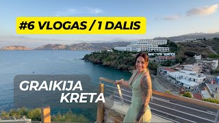 #6 VLOGAS | MEDAUS MĖNUO | GRAIKIJA | KRETA | 1 DALIS