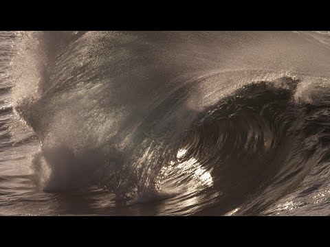 Kiama Bombie. Same But Different. Gold Version.