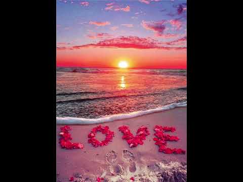 Grofo - Bebe & Aranka 