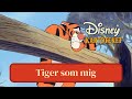 Tigerdyret Familiefest Tiger Som Mig
