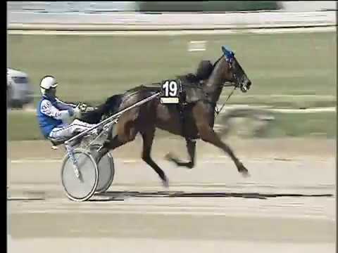 Trotto 22/04/2018 - 1ª corsa