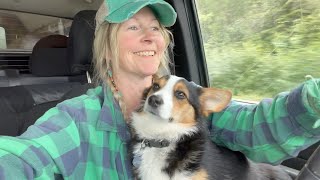 Drive to Alaska SOLO- Tips & Advice