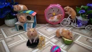 Cat TV Hamsters Playing in Beautiful Nature | 4K UHD | 10 Hours  Mice playing CatGames
