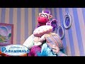 The Pajanimals Messiest Moments Pajanimals