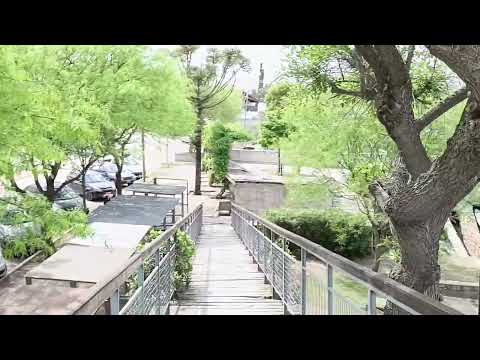 16 de Octubre 2025 -  Mina Clavero 🇦🇷  Plaza San Martín.