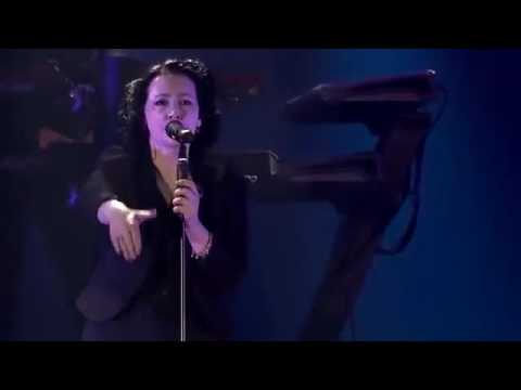 Schiller feat Kate Havnevik - Don't Go (Live in Concert)