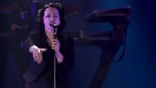 Schiller feat Kate Havnevik - Don&#39;t Go (Live in Concert)