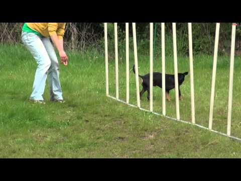 Opatovice Lenka a Puk 1.5.2011