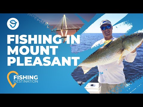 Fishing in Mount Pleasant: The Complete Guide