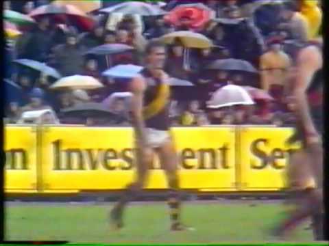 1983 VFL Round 18 - Essendon vs Richmond - Highlights