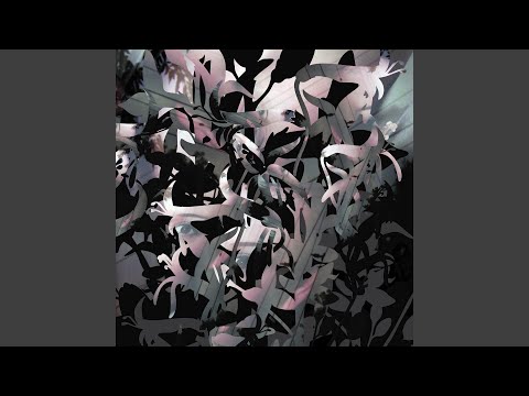 Video thumbnail for Starfish