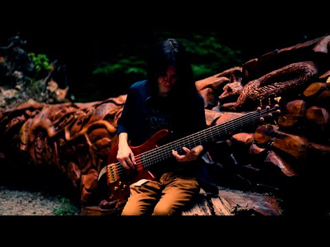 ANAMORPH - "Overcome" [Official Bass Playthrough]