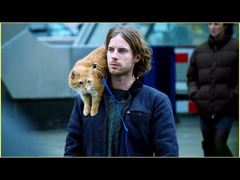 Homeless Man's Life Is Changed After Finding a Stray Cat