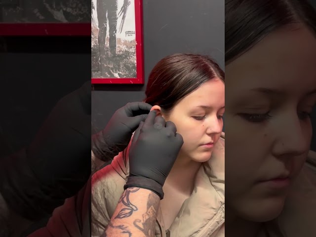 Vídeo relacionado con GGUFAY Pendiente de Cartílago Transparente 20 Piezas 16G Transparente Bioflex Flexible Tragus Retenedor Anillos de Labios Nariz Oreja Helix Pendiente