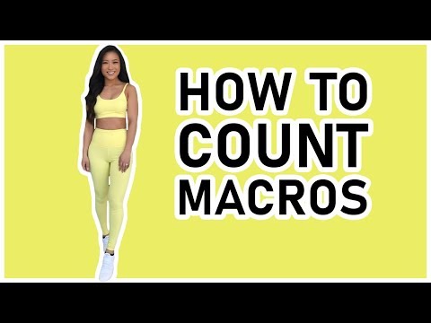 How to Count Macros | Beginner's Guide Video