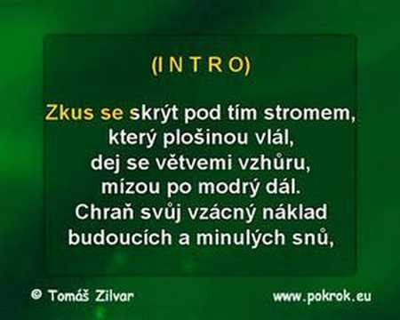 Srdcotepec - Aneta Langerová (www.pokrok.eu)