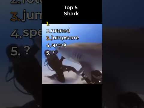 top 5 best shark in one video (funny)