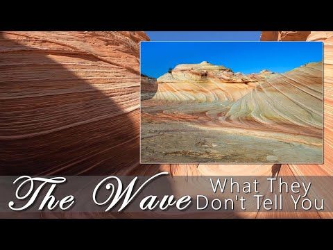 The Wave: What They Don't Tell You