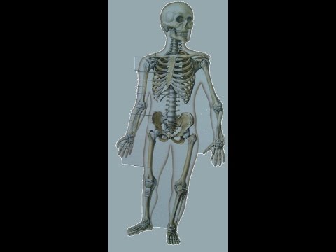 Brief Review On The Osteomalacia