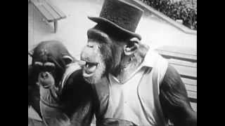 The Wiseguys &quot;Ooh La La&quot;