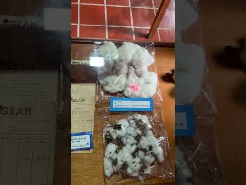 Cascadas de los caballeros