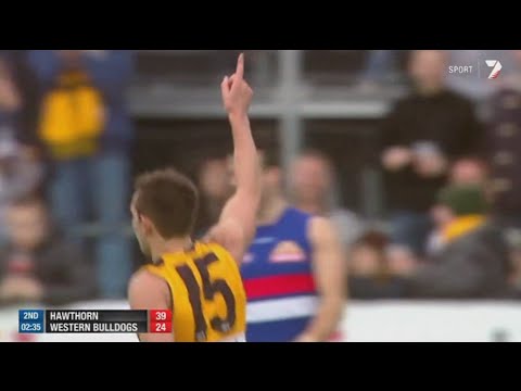 AFL 2013: Round 17 - Hawthorn highlights vs. Western Bulldogs