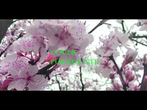 J Vang: Cover Pub Kuv Nte [ Original ] Xeeb Yaj