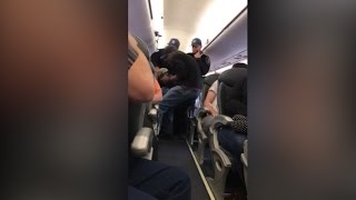 A giant rabbit dies on a United Airlines flight
