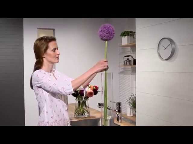 خلاط مطبخ سحاب تاليس 170 هانس جروهي Hansgrohe