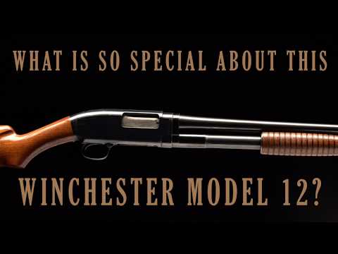 Quick Look at the Winchester Model 12 12 Gauge Shotgun Review! #winchester #model12