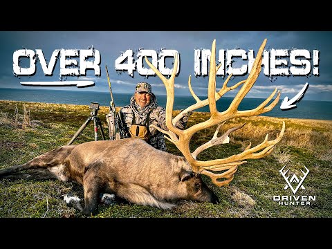 Hunting GIANT Reindeer between Russia & the Coast of Alaska in the Aleutian Islands!