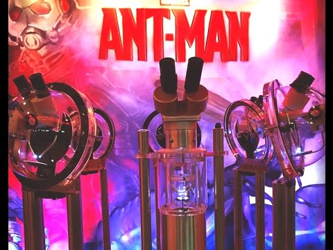 La "Antsibition”, una exhibición de tamaño microscópico