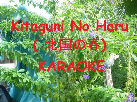 北国の春 (Kitaguni No Haru) - カラオケバイジョン (Karaoke Version)