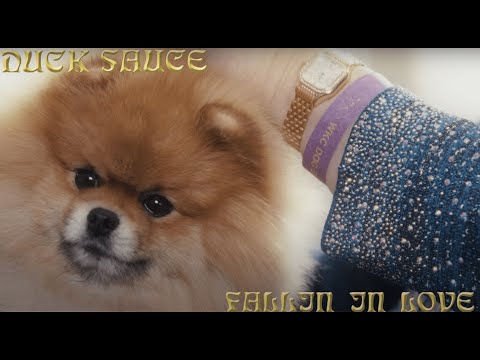 Duck Sauce - Fallin In Love (Official Deep Fake Video)