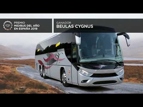 Beulas Cygnus, Midibús del Año 2019