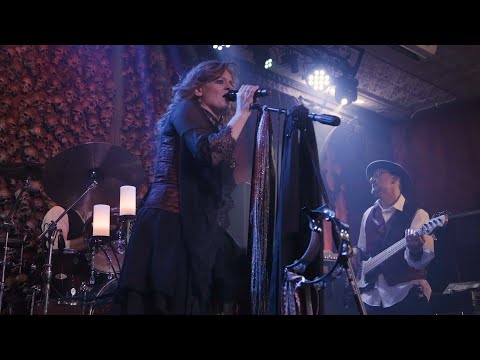 Crystal Visions   A Tribute to Fleetwood Mac "Dreams"