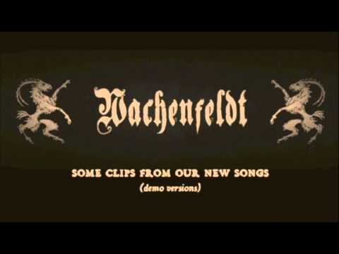 Wachenfeldt: Some clips from some new songs