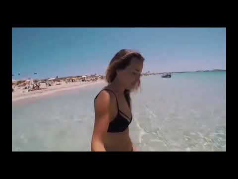 Dj Layla feat. Alissa - Single ladies