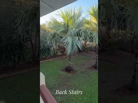 15 Milliner Street, Nudgee, QLD 4014, 3房, 1浴, House