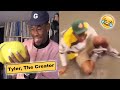 Tyler The Creator Funny Moments
