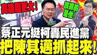 [討論] 蔡正元這種戰力，在民進黨有多少個？