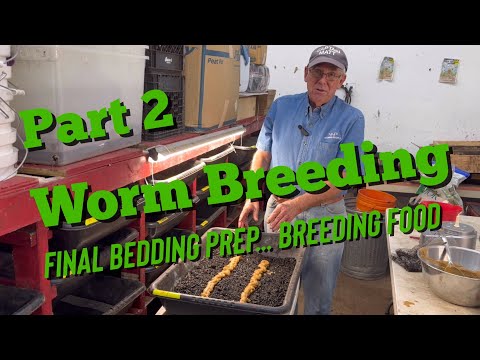Worm Breeding for Beginners - Part 2