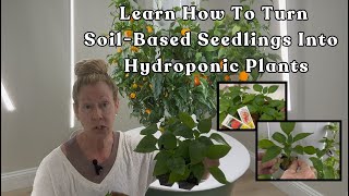 Convert Soil-Based Seedlings to Hydroponic Success ~Tower Garden Tips for Faster Harvests