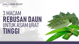 Download lagu Asam Urat Tinggi? Coba 3 Rebusan Daun Ini | Hidup Sehat tvOne mp3 Download lagu Asam Urat Tinggi? Coba 3 Rebusan Daun Ini | Hidup Sehat tvOne mp3