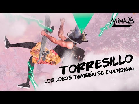 ANIMALXS CAP 3 - TORRESILLO, LOS LOBOS TAMBIÉN SE ENAMORAN