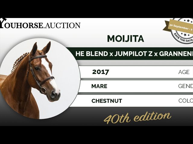 Moijita @ Trial