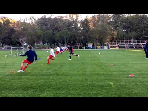 Trazione & stabilità erba ibrida - Traction & stability hybrid grass POWERgrass