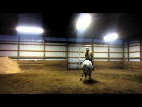 Cyklikal (Ganges x Eurokina by Europejzcyk)