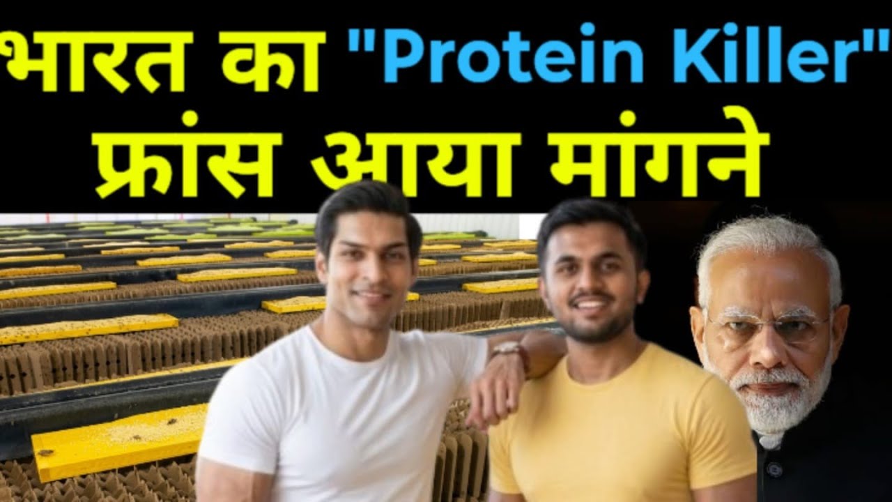 मक्खी से बना दिया Gold 🔥 IIT Kanpur Startup ने ₹2500 Crore कमा लिया — Insect Farm Start
