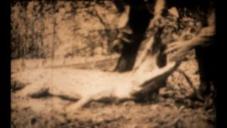 La Pêche à Crocodile / Crocodile Fishing (1911)